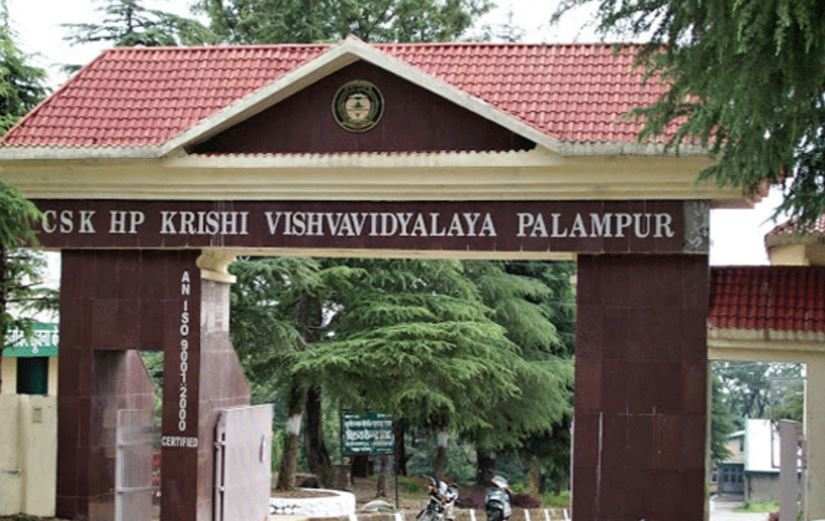 CSKHPKV Palampur Issues Notification on Document Verification and Registration for PhD and MVSc Admissions