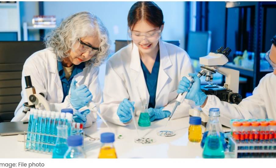 British Council Offers Fully Funded STEM Scholarships for Women, Applications Open for 2026–27