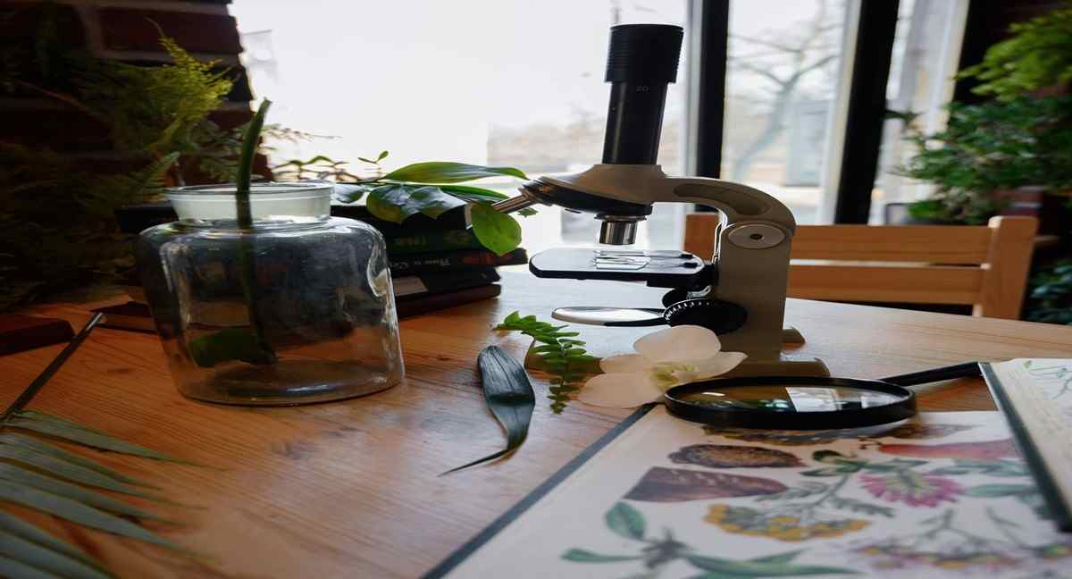 IIT Bombay Begins Phase I of Biodiversity Lab at Soneri Baug to Strengthen Campus Conservation