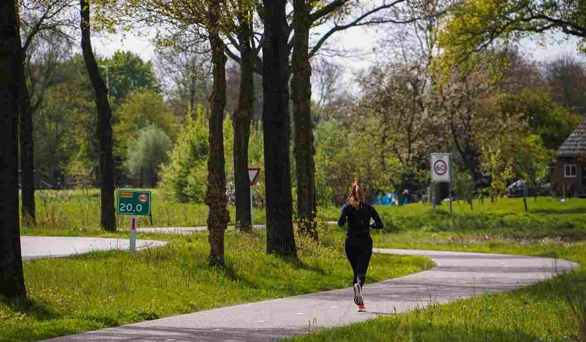 RRI Bengaluru Organises Swachhata Run with Indian Academy PU College Students